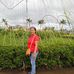 Josephine Lasala - Facebook