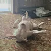 josephlatsch675 - @josephlatsch675 - TikTok