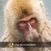 Joe Latson - Facebook
