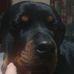Joseph Laws - Facebook