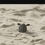 Joseph Lawson - @josephlawson8434 - Instagram