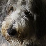 Joseph Laxton - @laxton_joseph - Instagram