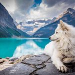 Joseph Leath - @switchedupdate - Instagram