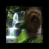 Mojo Power - @joseph.leath02 - TikTok