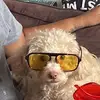 josephlebron495 - @josephlebron495 - TikTok