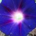 Joseph Leccese - Facebook