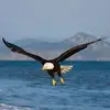 Joseph Lee Chee Hoe - @joseph.lee.chee.h - TikTok