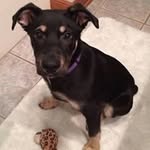 Joseph Leech - @twopointtwopound - Instagram