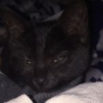 Joseph LePage - @joesph.lepage - Instagram