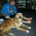 Joe Lewallen - Facebook