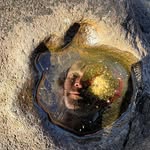 Joseph Lieber - @joseph.lieber - Instagram