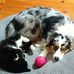 Joseph Liebl - Facebook