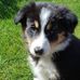 Joseph Linck - Facebook