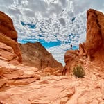 Joseph Linck - @lowkeylinck - Instagram