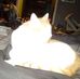 Joseph Lingerfelt - Facebook