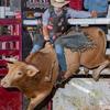 Bullrider300 - @josephlanglitz - TikTok
