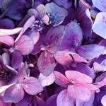 Joseph Litzenberger - @litzenbergerjoseph - Instagram