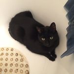 Joseph Looby - @loobyjoseph - Instagram