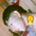Joseph Lomas - Facebook