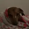 Joseph Lueras - @josephlueras1 - TikTok