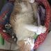 Joseph Luker - Facebook