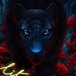 Joseph lyons - @josephlyons40 - Instagram