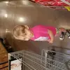 Joseph Lytle832 - @josephlytle1313 - TikTok
