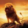 joseph - @josephmaiolo970 - TikTok