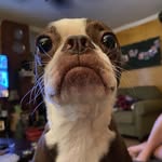 Joseph Mallett - @joseph.mallett.79 - Instagram
