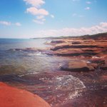 Joseph Malmberg - @alterream - Instagram