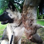 Joseph Malmberg - @grugambl - Instagram