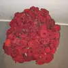 Joseph Marando - @josephmarand0 - TikTok