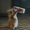 josephmarceleno31 - @hpesoj_2 - TikTok