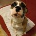 Joseph Martz - Facebook
