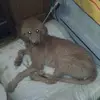 Joseph markell - @joseph.markell - TikTok
