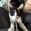 Markus Joseph - @markus.joseph - TikTok