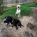 Joseph Marlowe - Facebook