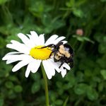 Joseph Marriott - @frigid_fish_photography - Instagram