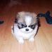 Joseph Marroquin - Facebook