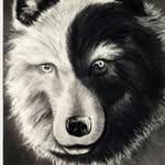 joseph.masker38@gmail.com - @joseph.masker38gm - Instagram