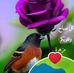 Joseph Matar - Facebook