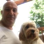 Joseph Matar - @josephmatar4313 - Instagram