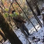 Joseph Mauer - @jmauer12 - Instagram