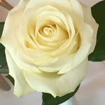 Joseph Max - @mehranmuhammad240 - Instagram