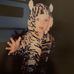 Joseph Maxfield - Facebook