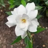 Joseph May - @josephmay12 - TikTok