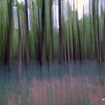 Joseph Mcalpine - @mcalpine9662 - Instagram