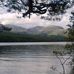 Joseph Mcalpine - Facebook
