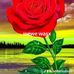 Joseph McCarthy - Facebook