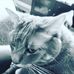 Joseph McCulley - Facebook